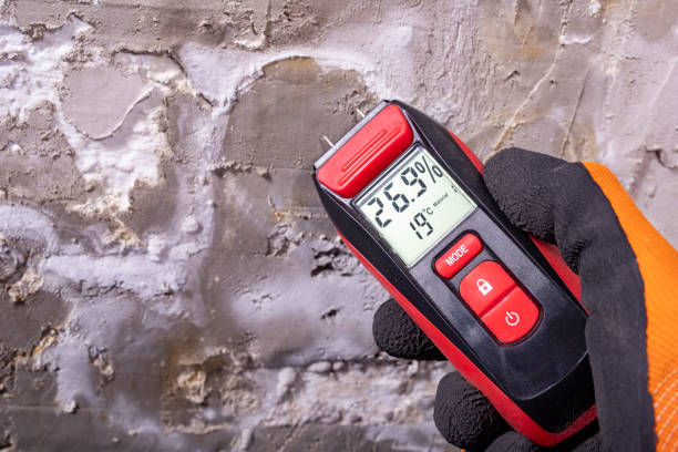 Best Affordable Mold Removal  in Wyanet, IL