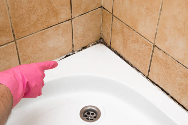 Best Mold Testing  in Wyanet, IL